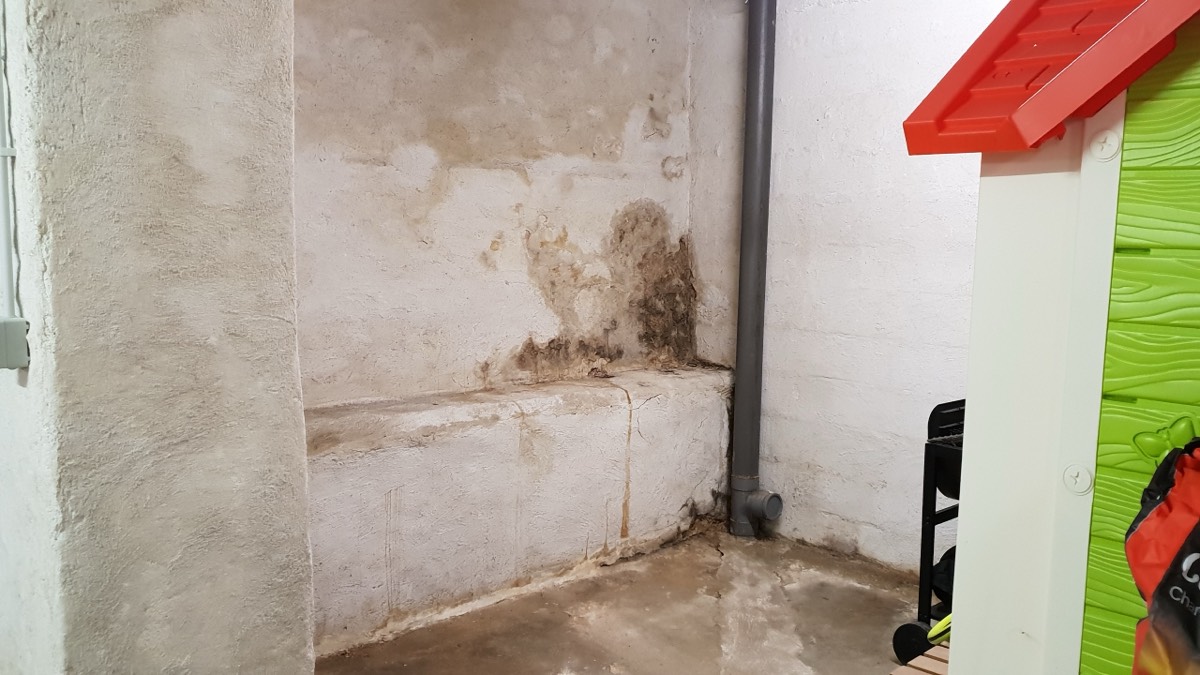 Infiltrations d'eau - Expertise humidité à Bordeaux